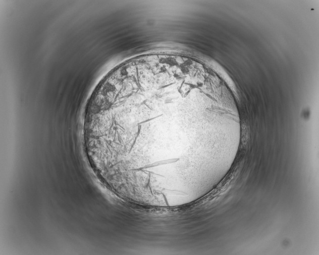 X0000099321099200805231419