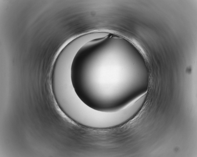 X0000099321100200805231419