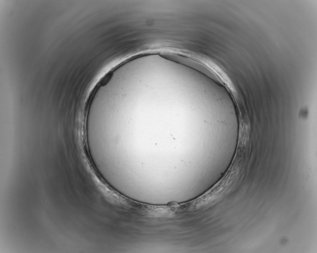 X0000099321101200805231419