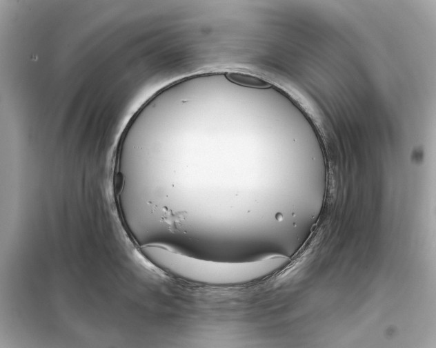 X0000099321102200805231419