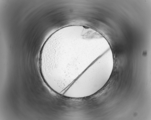 X0000099321103200805231419