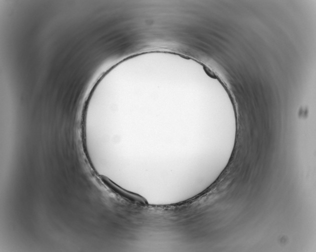 X0000099321104200805231419