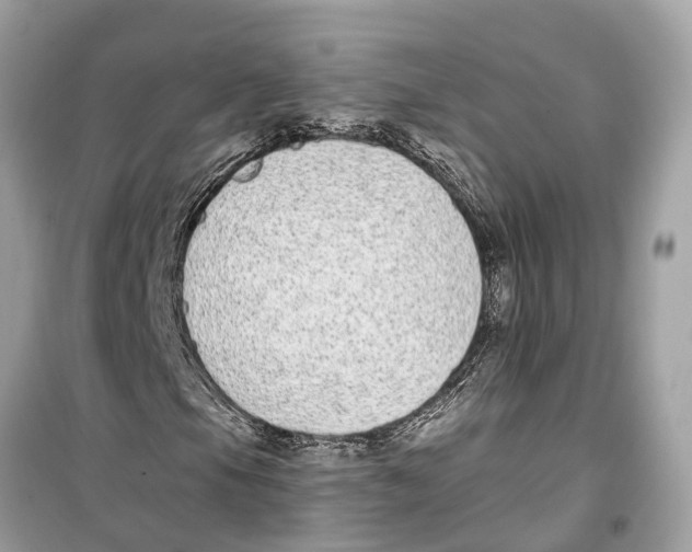 X0000099321105200805231418