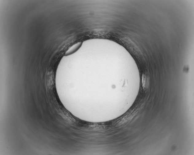 X0000099321107200805231418