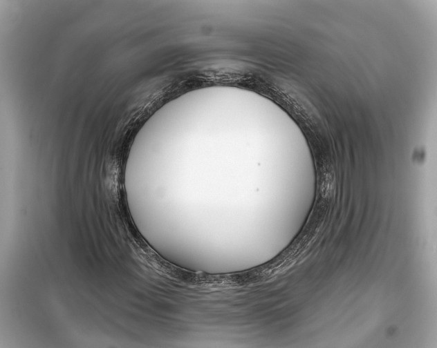 X0000099321108200805231418