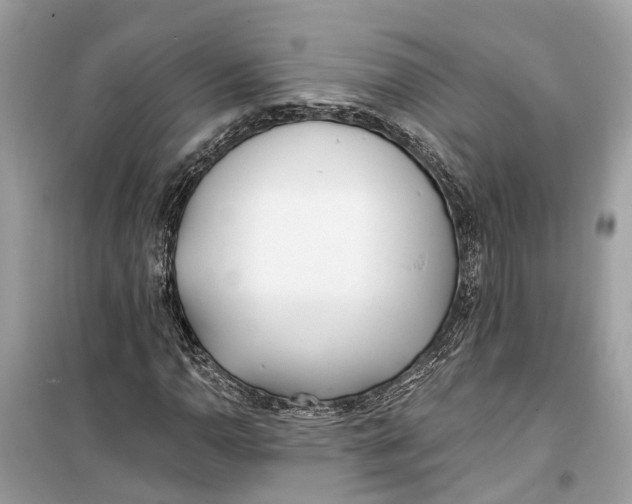 X0000099321110200805231419