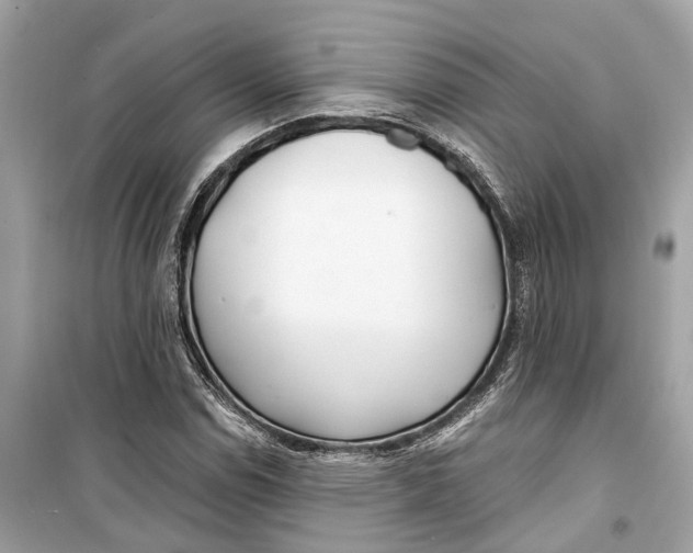 X0000099321114200805231419