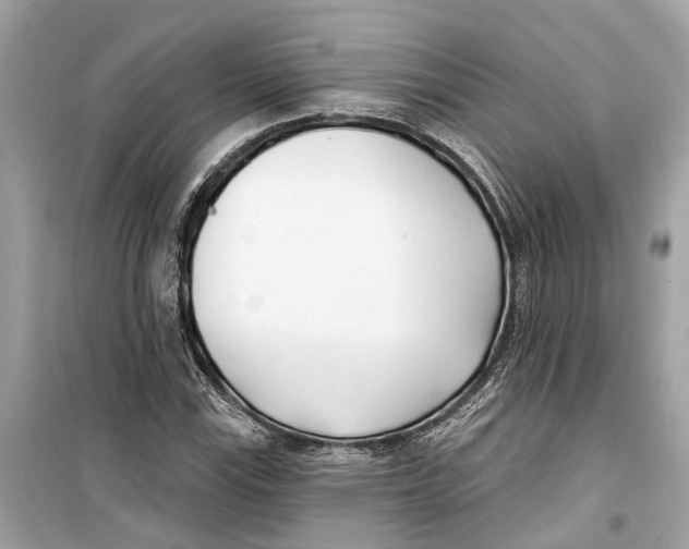 X0000099321115200805231419