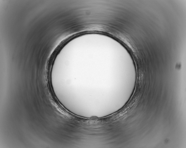 X0000099321116200805231419