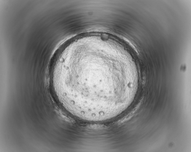 X0000099321117200805231419