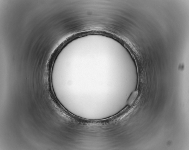 X0000099321118200805231419