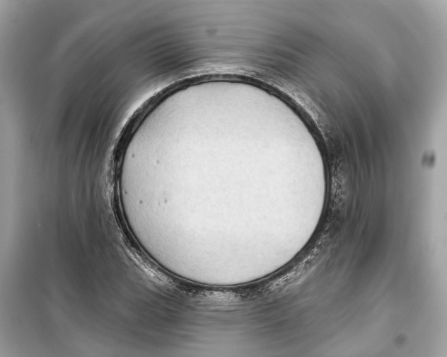 X0000099321119200805231419