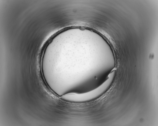 X0000099321120200805231419