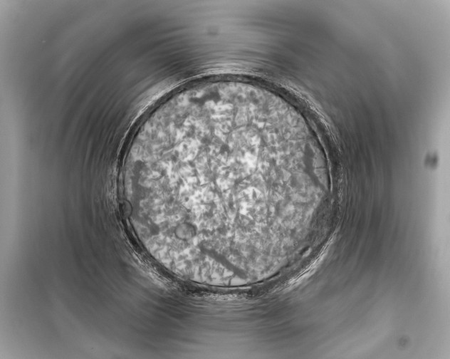 X0000099321121200805231419