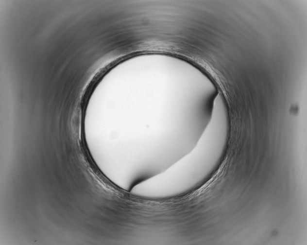 X0000099321123200805231419