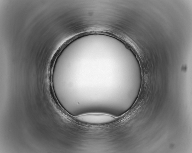 X0000099321124200805231419