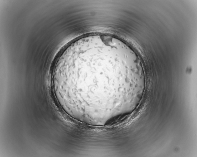 X0000099321125200805231419