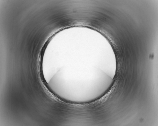 X0000099321126200805231419