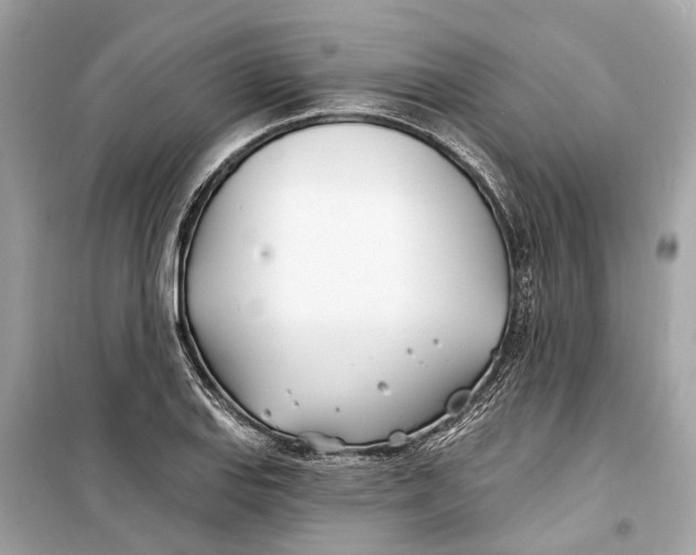 X0000099321127200805231419