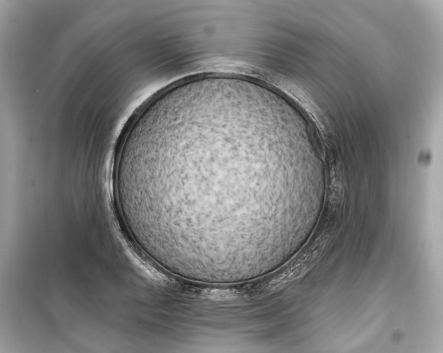 X0000099321128200805231419