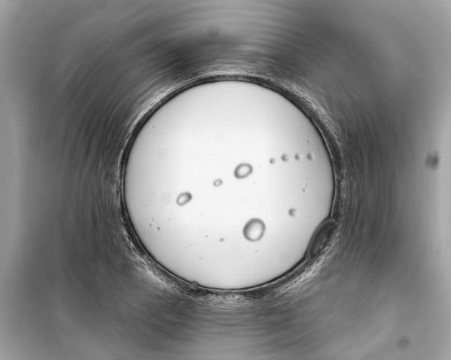 X0000099321129200805231419