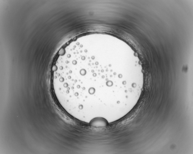 X0000099321130200805231419