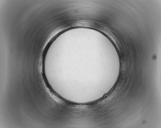 X0000099321131200805231419