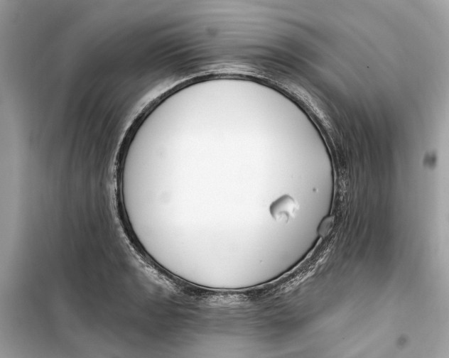 X0000099321133200805231419