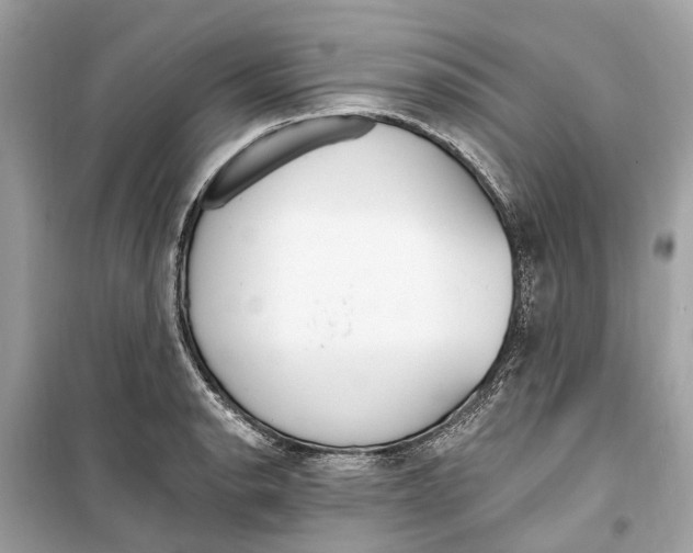 X0000099321134200805231419