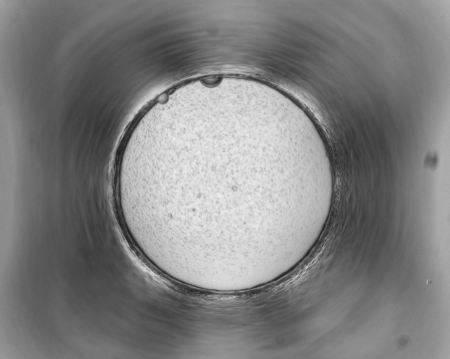 X0000099321135200805231419