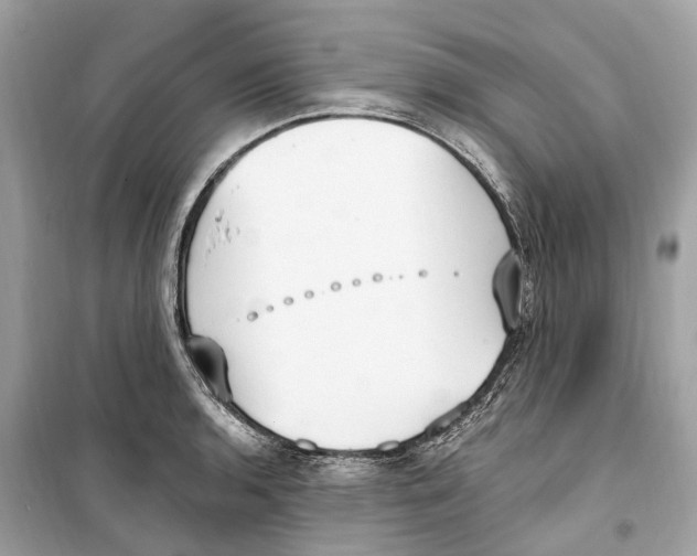 X0000099321136200805231419