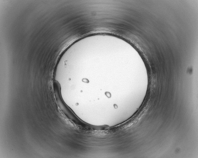 X0000099321137200805231419