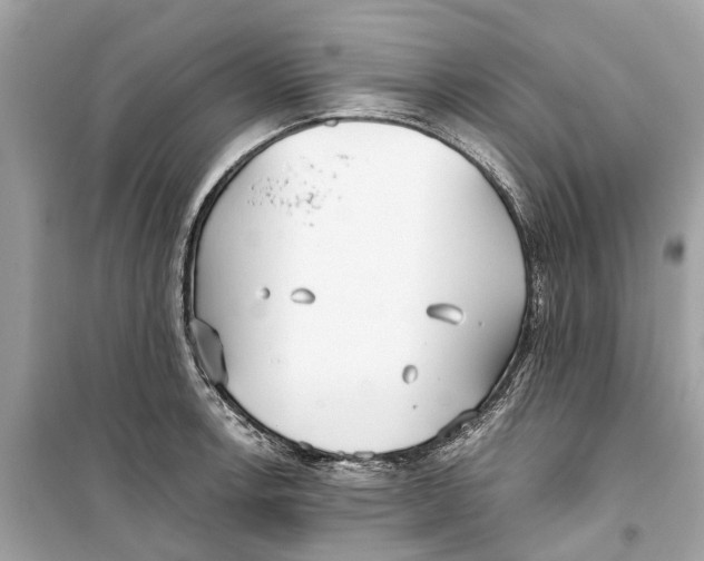 X0000099321138200805231419