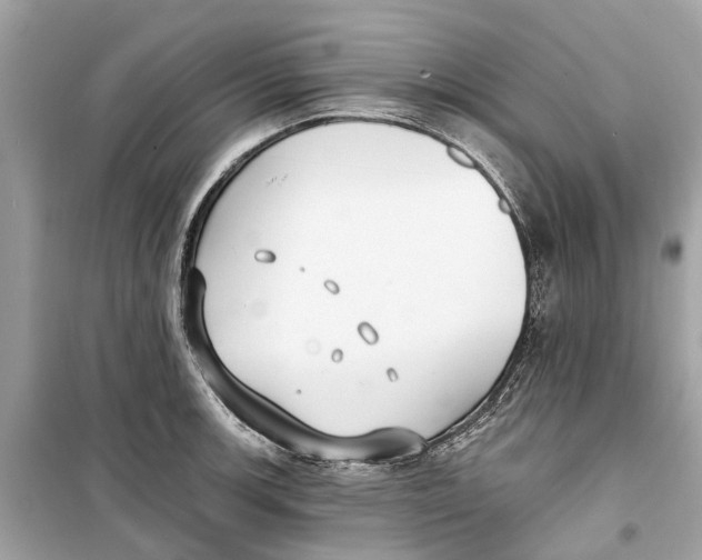 X0000099321139200805231419