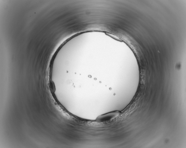 X0000099321140200805231419