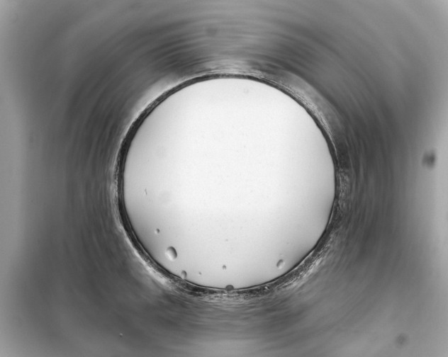 X0000099321141200805231419