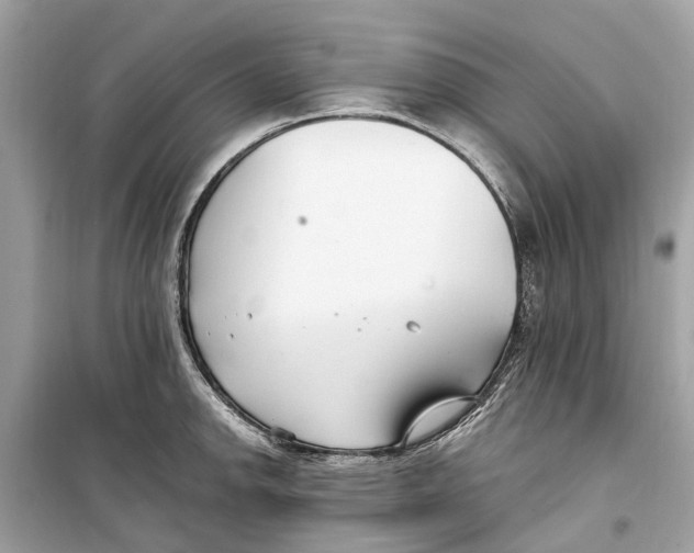 X0000099321142200805231419