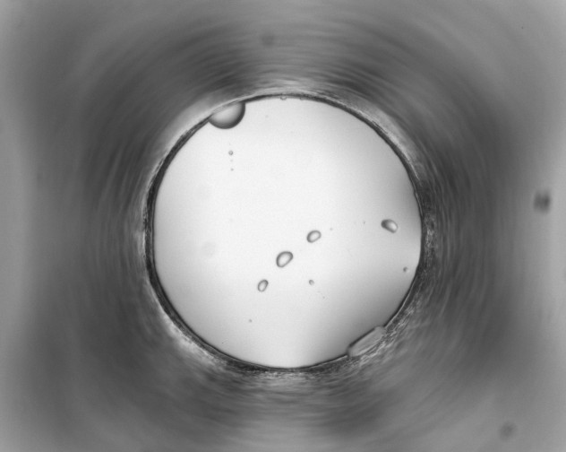 X0000099321143200805231419