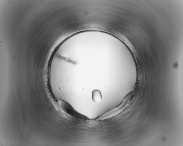 X0000099321144200805231419