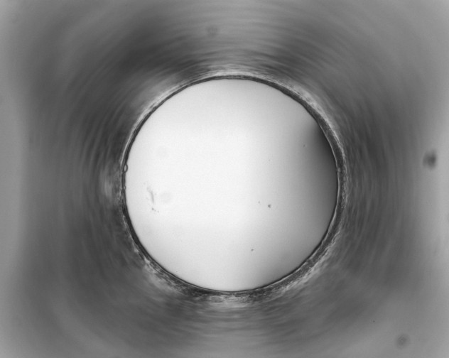 X0000099321145200805231419