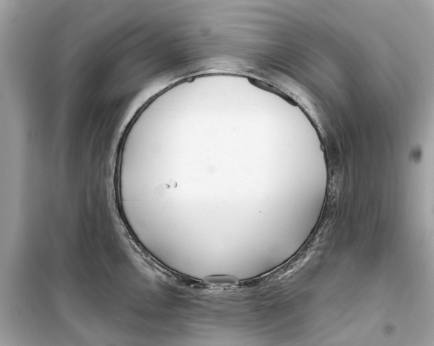 X0000099321146200805231419