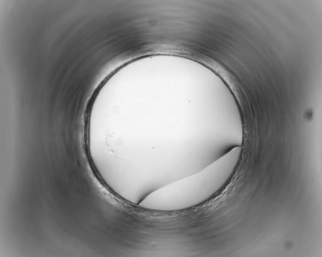 X0000099321147200805231419