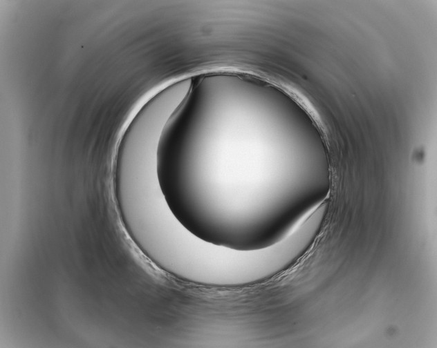 X0000099321148200805231419