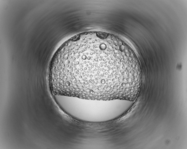 X0000099321149200805231419