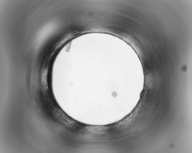 X0000099321150200805231419