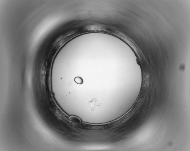 X0000099321151200805231419