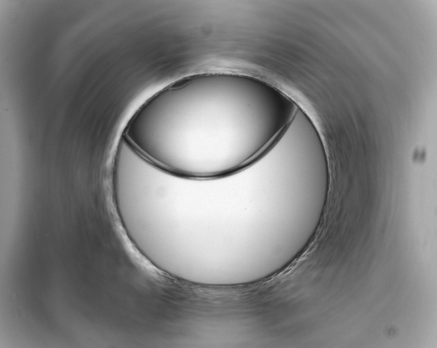 X0000099321152200805231419