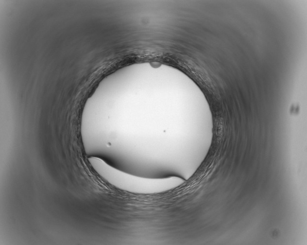 X0000099321153200805231418