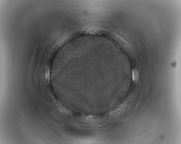 X0000099321155200805231418