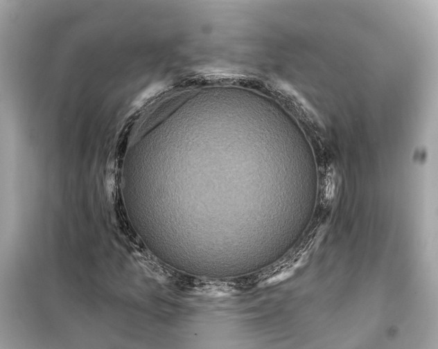 X0000099321157200805231418